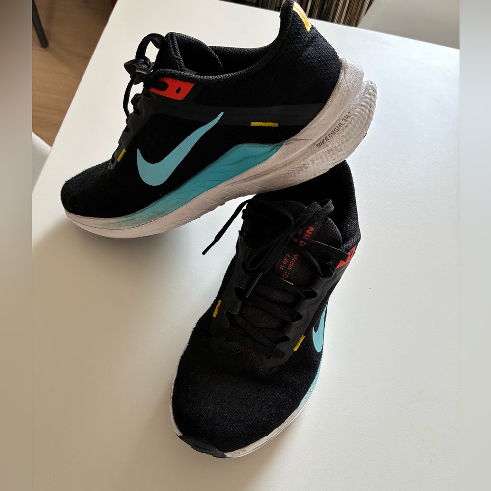 Nike Women’s Winflo 10 Running Shoe